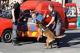 ARRESTATION POLICE 026
